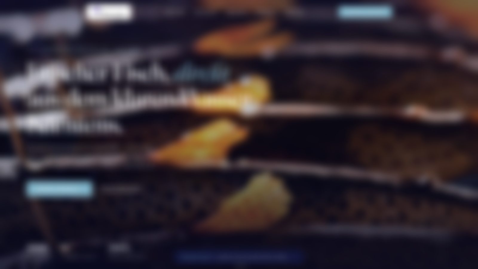 Website-Vorschau weiteres Karibu-Studio-Projekt